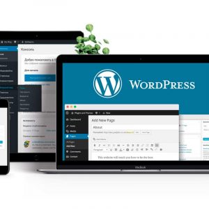WEBSITE DESIGN